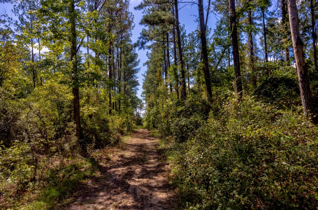 Cherokee Ridge Retreat Photo