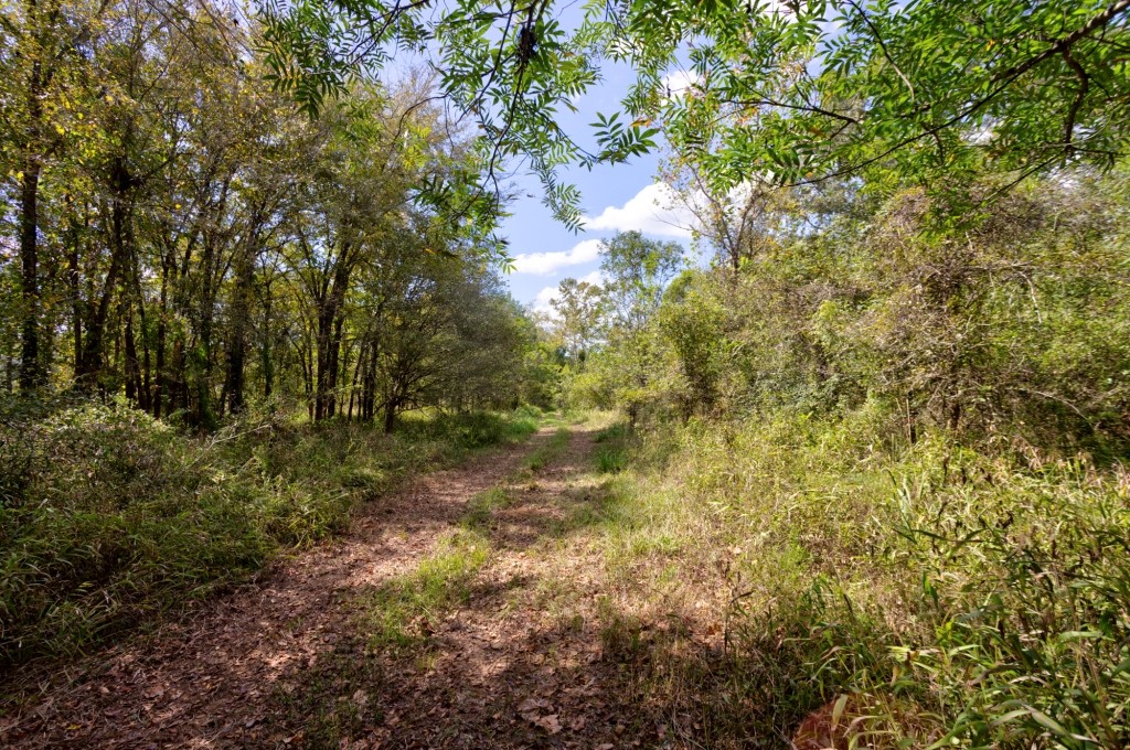 Cherokee Ridge Retreat Photo