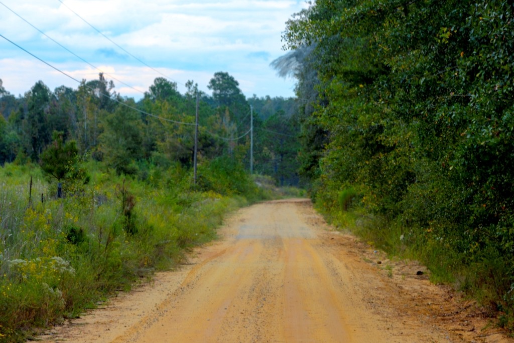 Battleground Creek Photo