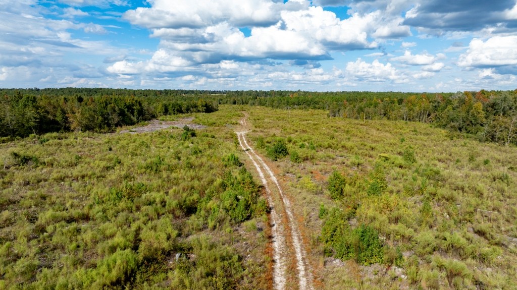 Battleground Creek Photo