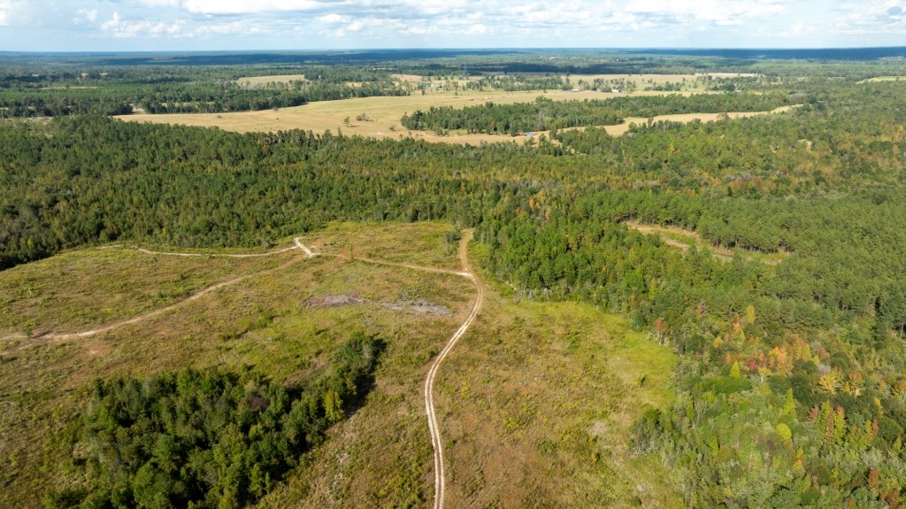 Battleground Creek Photo