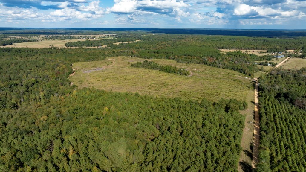 Battleground Creek Photo