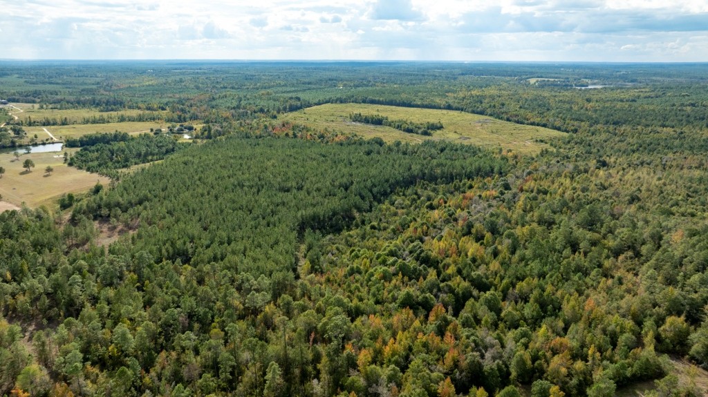 Battleground Creek Photo