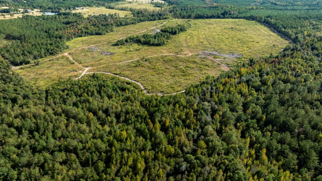 Battleground Creek Photo