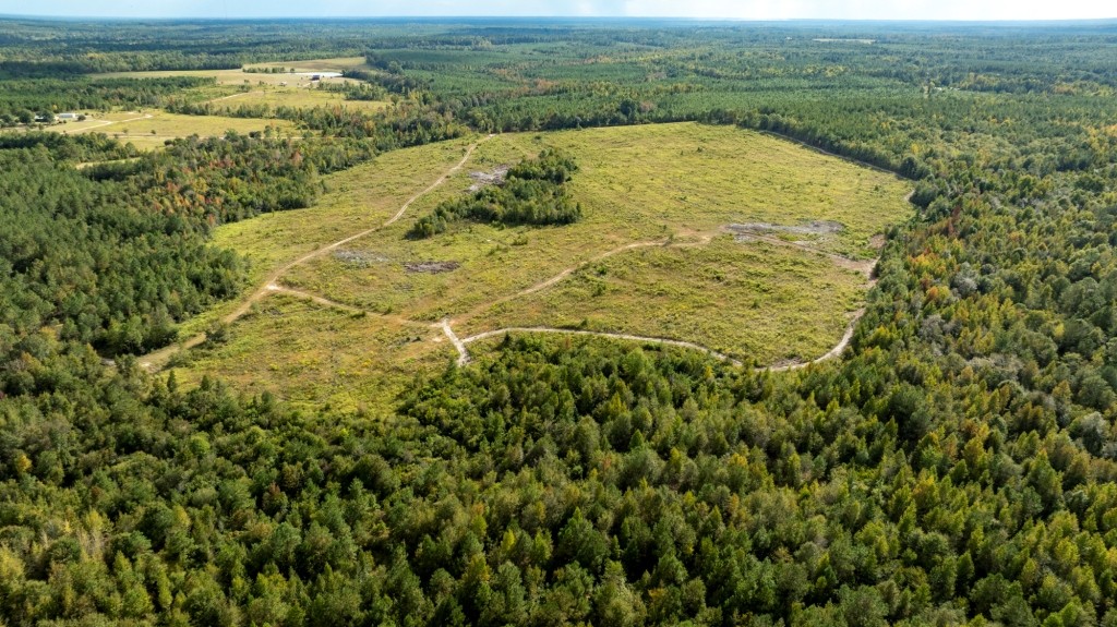 Battleground Creek Photo