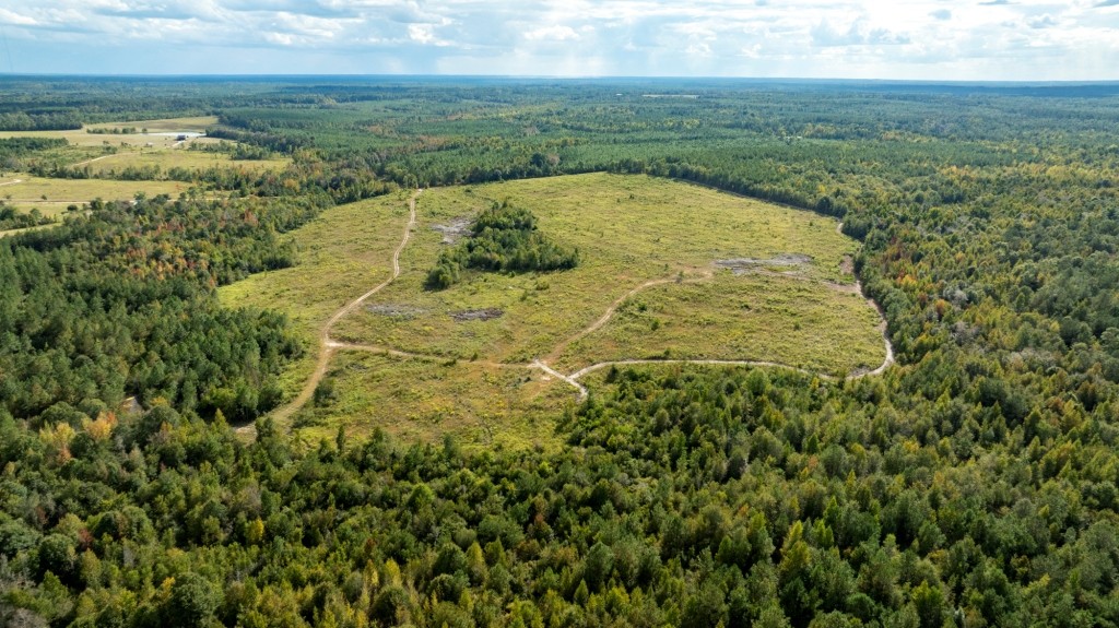 Battleground Creek Photo