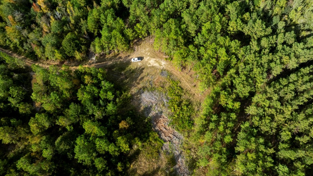 Battleground Creek Photo