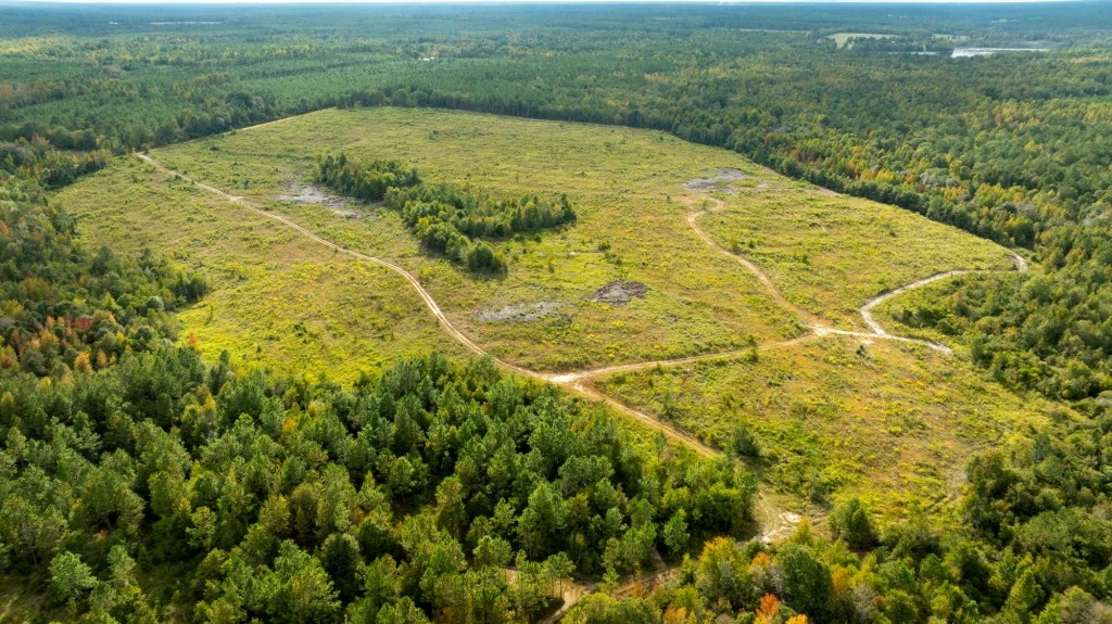 Battleground Creek Photo