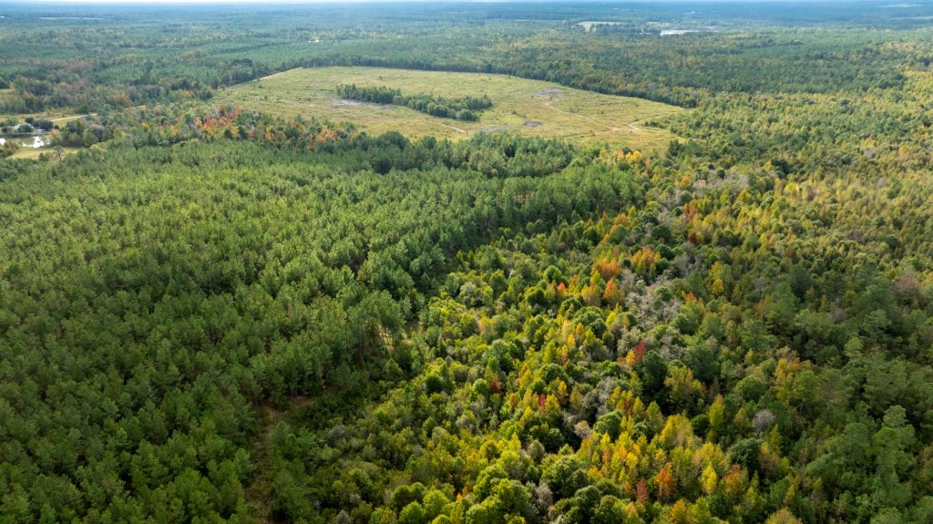 Battleground Creek Photo