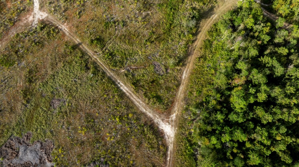 Battleground Creek – Tract 1 Photo