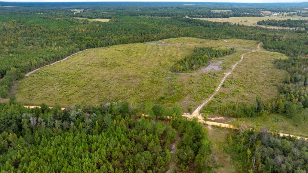 Battleground Creek Photo