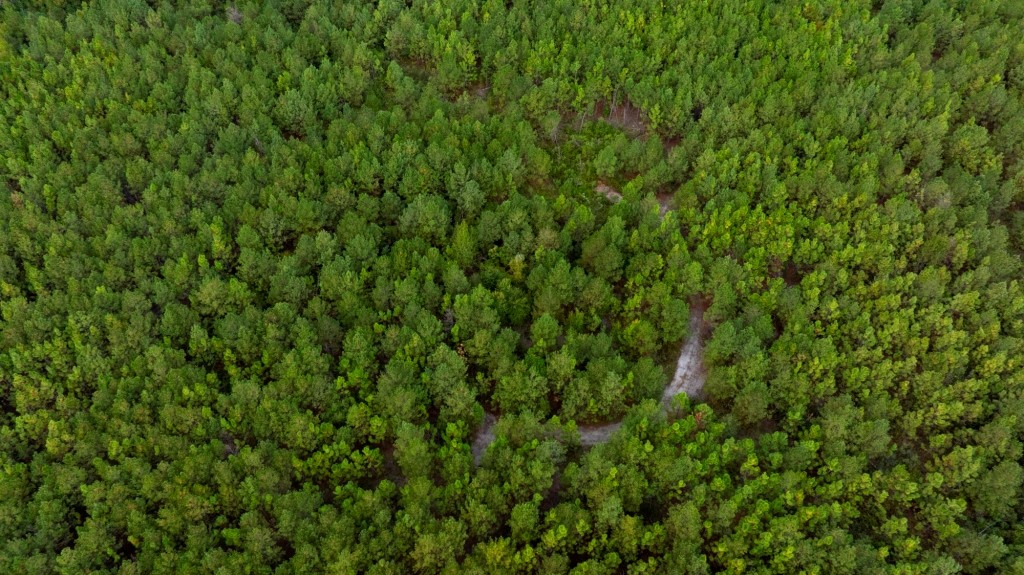 Battleground Creek Photo