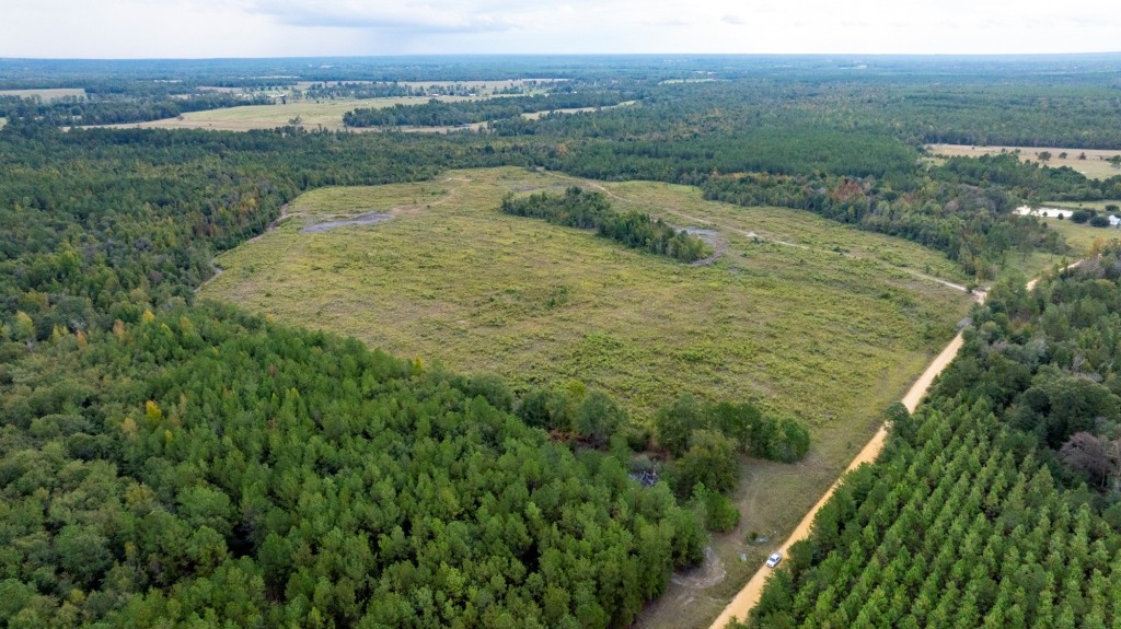 Battleground Creek Photo