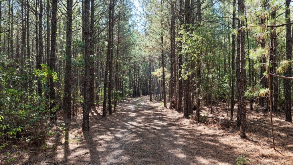 Pine Ridge Photo