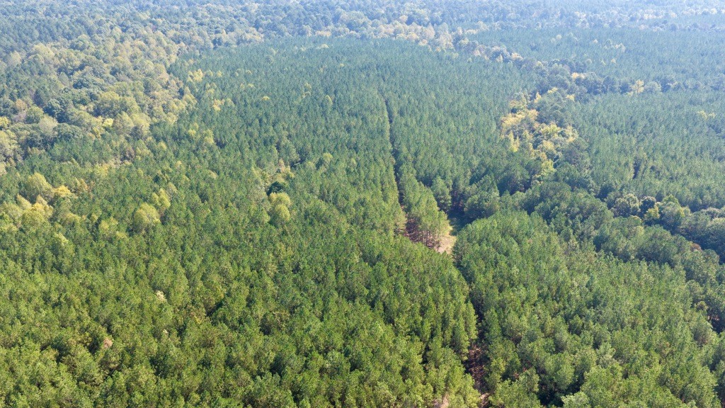 Pine Ridge Photo
