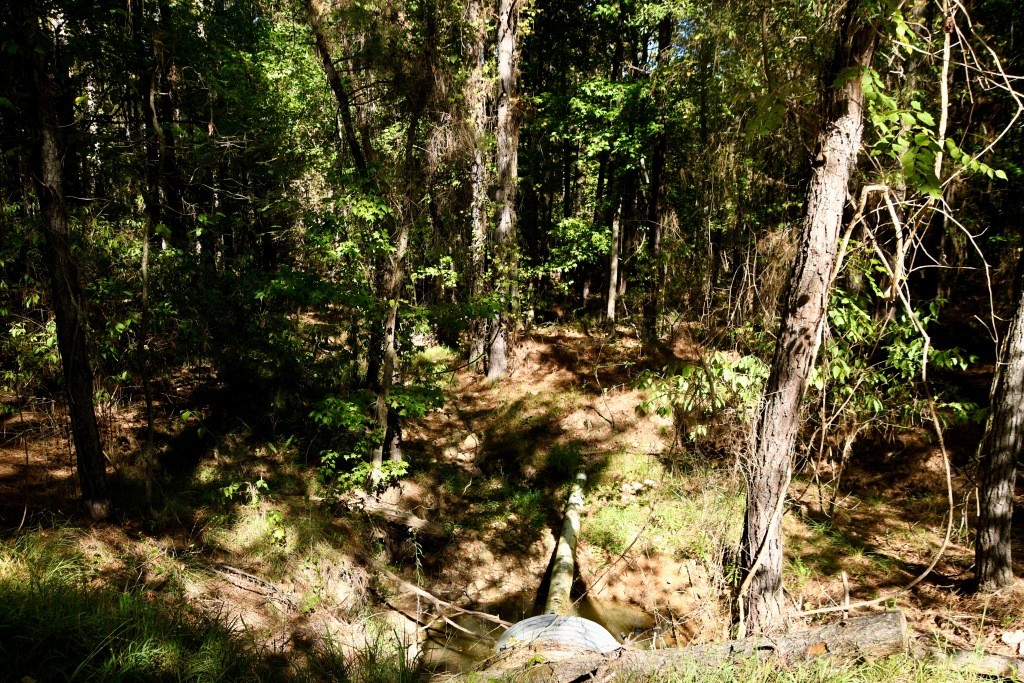 Pine Ridge Photo