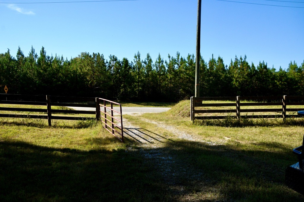 Pine Ridge Photo