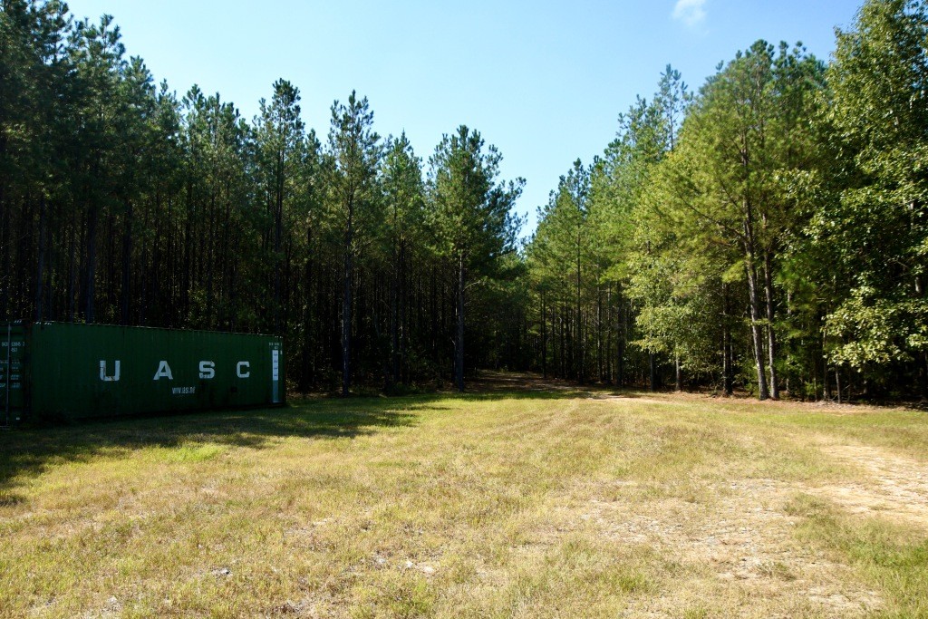 Pine Ridge Photo