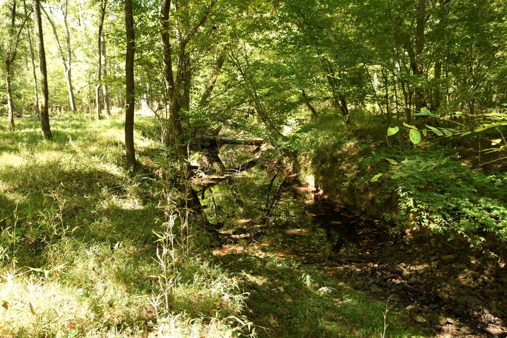 Pine Ridge Photo