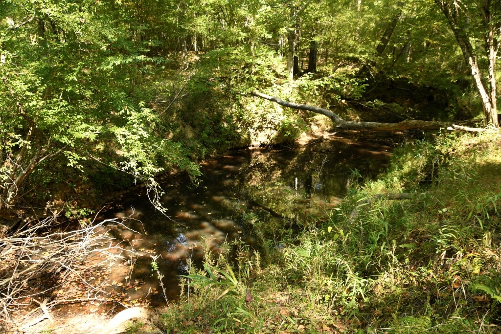 Pine Ridge Photo