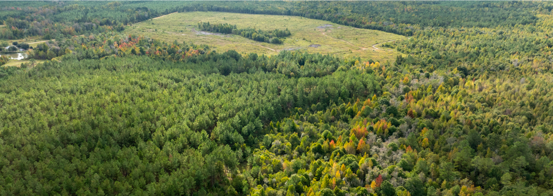 Battleground Creek Main Photo