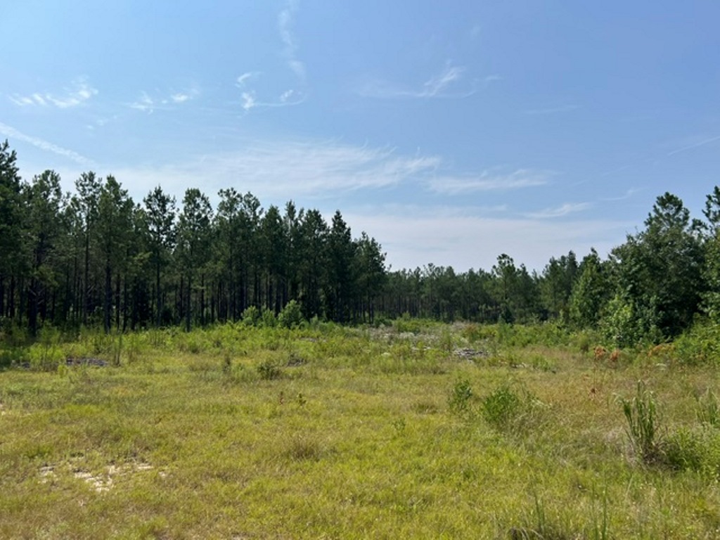 Battleground Creek – Tract 1 Photo
