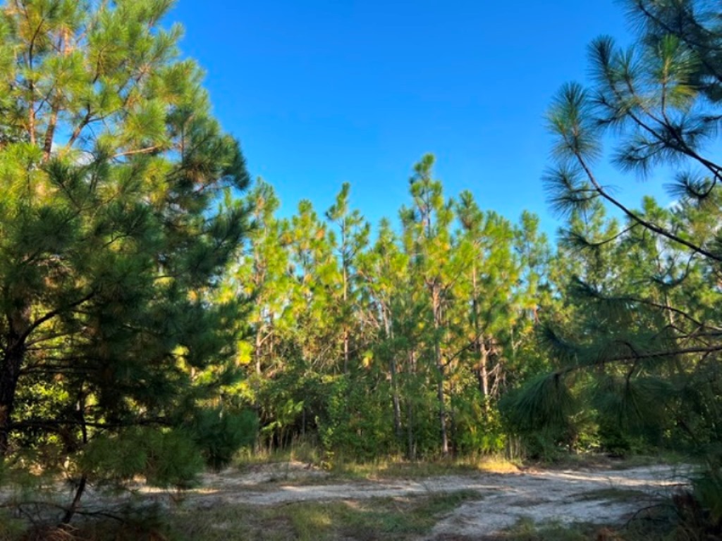 Battleground Creek – Tract 2 Photo