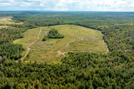 Battleground Creek – Tract 1