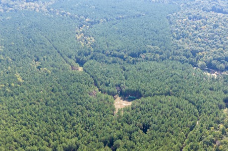 Pine Ridge