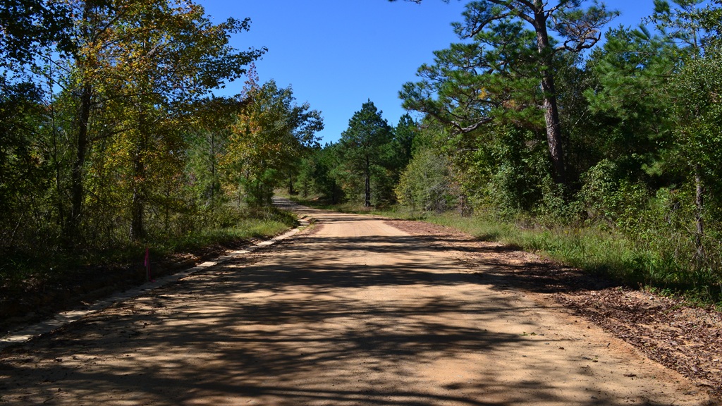 Rockledge Farms Tract 4 Photo