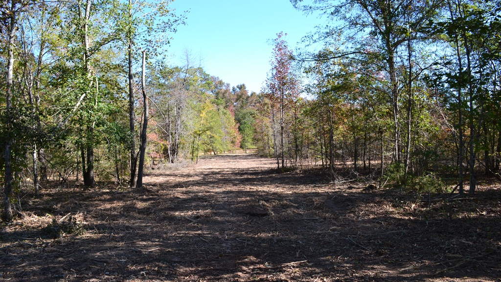 Rockledge Farms Tract 10 Photo