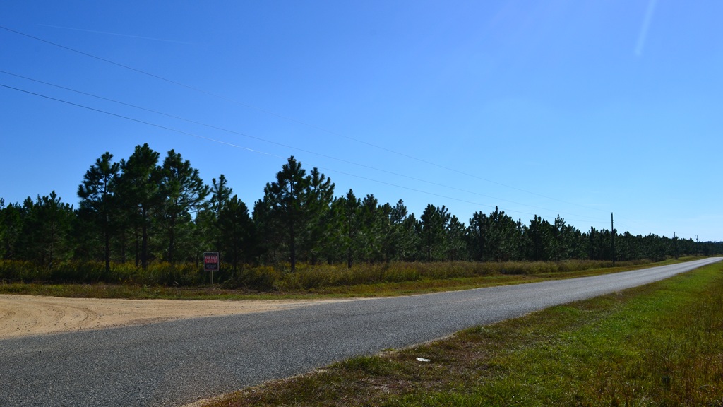 Rockledge Farms Tract 10 Photo