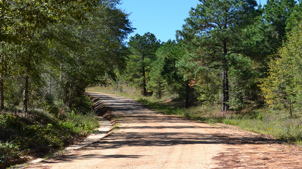 Rockledge Farms Tract 10 Photo