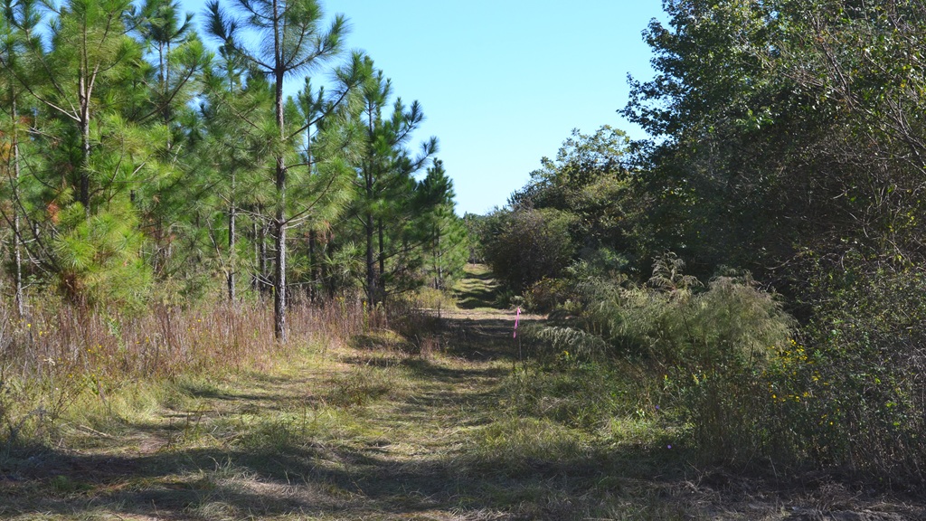 Rockledge Farms Tract 10 Photo