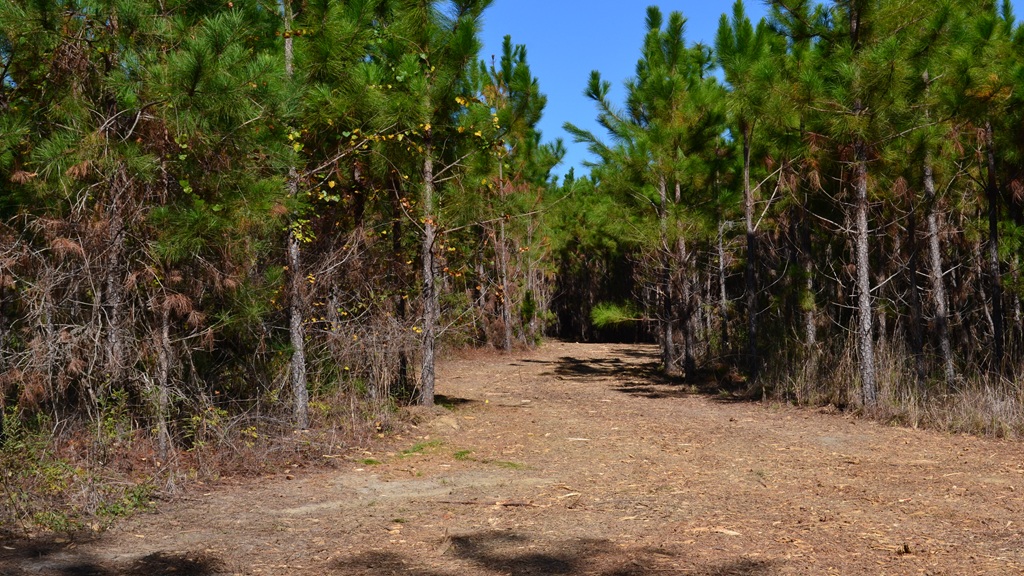 Rockledge Farms Tract 6 Photo