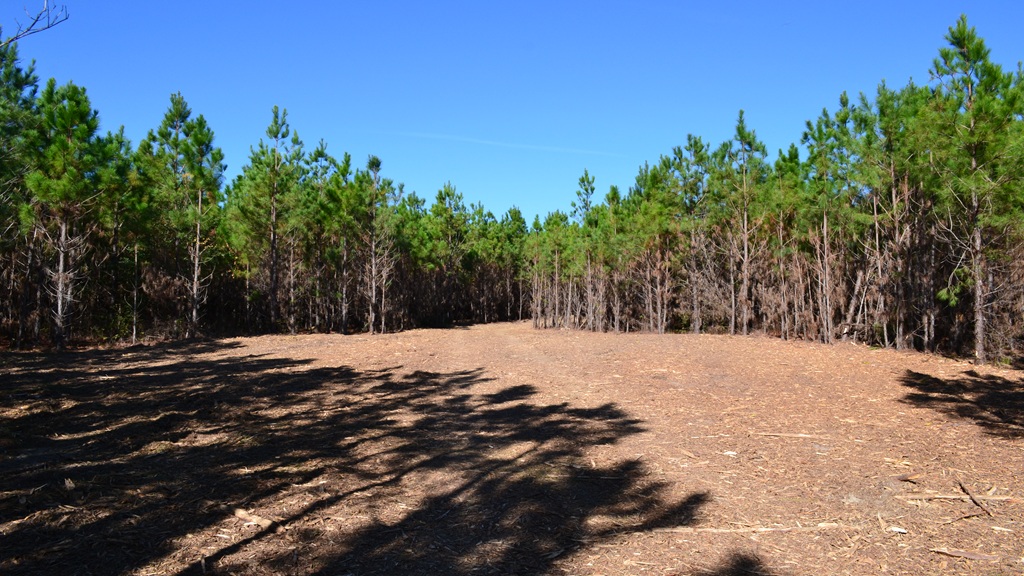 Rockledge Farms Tract 1 Photo