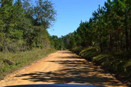 Rockledge Farms Tract 4